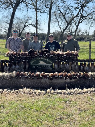 Dying Breed Farms - Cat Spring, TX