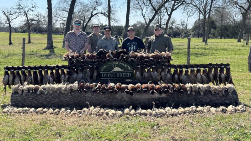 Dying Breed Farms - Cat Spring, TX