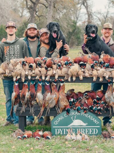 Dying Breed Farms - Cat Spring, TX