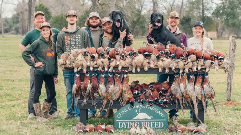Dying Breed Farms - Cat Spring, TX