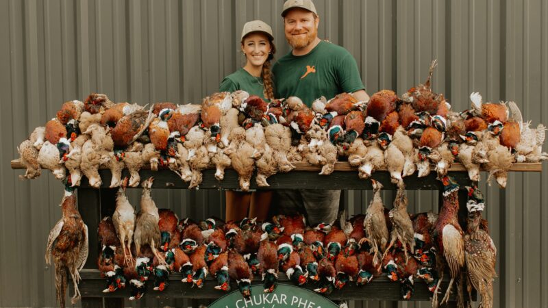 Dying Breed Farms - Cat Spring, TX