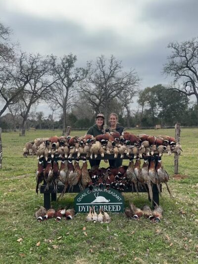 Dying Breed Farms - Cat Spring, TX