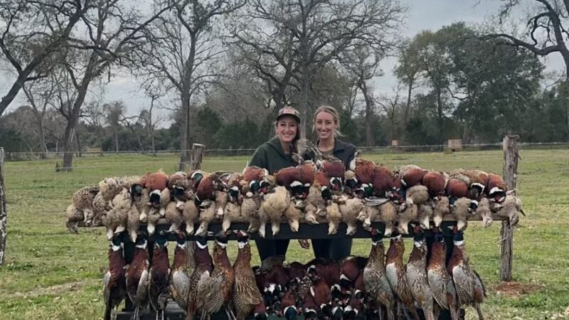 Dying Breed Farms - Cat Spring, TX