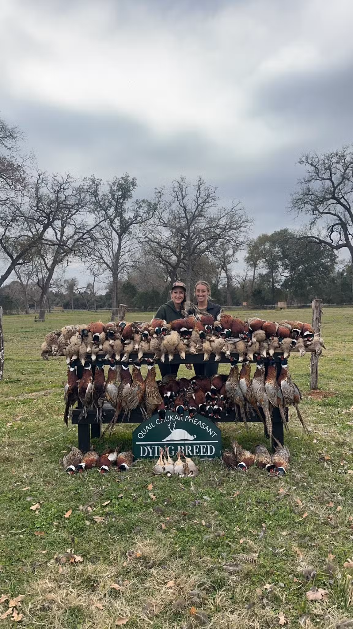 Dying Breed Farms - Cat Spring, TX