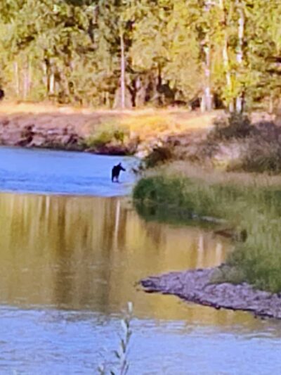 Cataldo Trailhead - Cataldo, ID