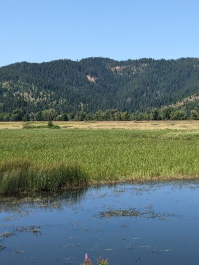 Trail of the Coeur d’Alenes - Cataldo, ID