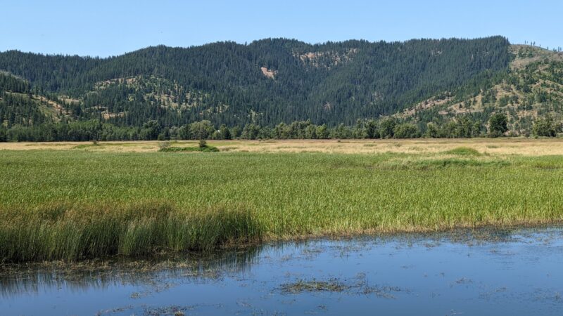 Trail of the Coeur d’Alenes - Cataldo, ID