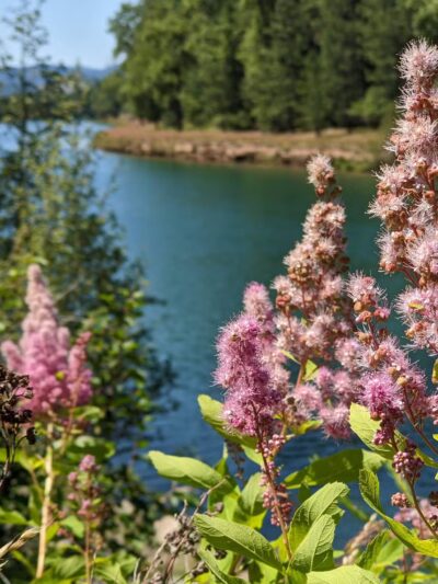 Trail of the Coeur d’Alenes - Cataldo, ID
