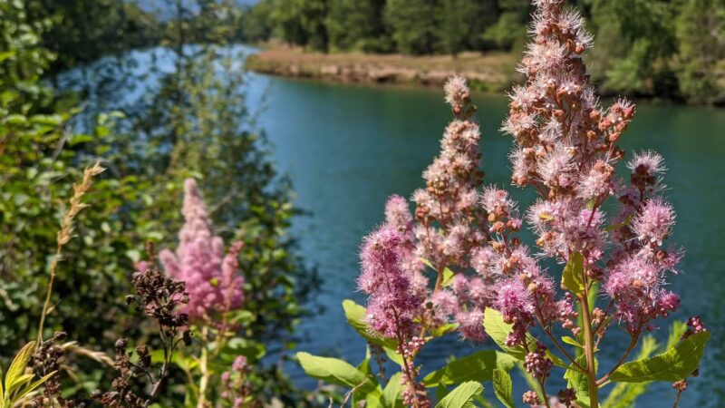 Trail of the Coeur d’Alenes - Cataldo, ID
