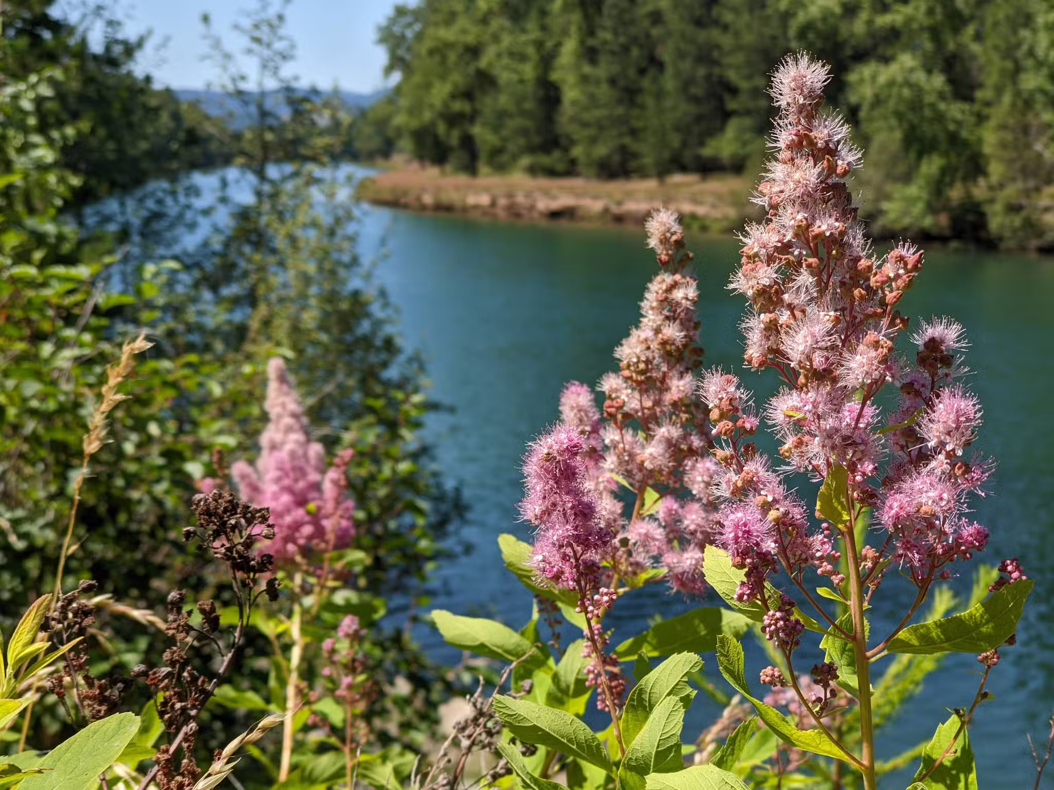 Trail of the Coeur d’Alenes - Cataldo, ID