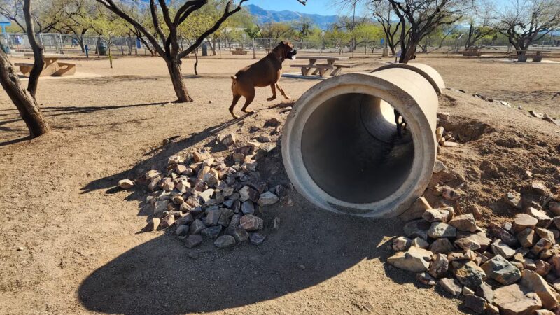Austin Fitzgerald Memorial Dog Park - Catalina Foothills, AZ