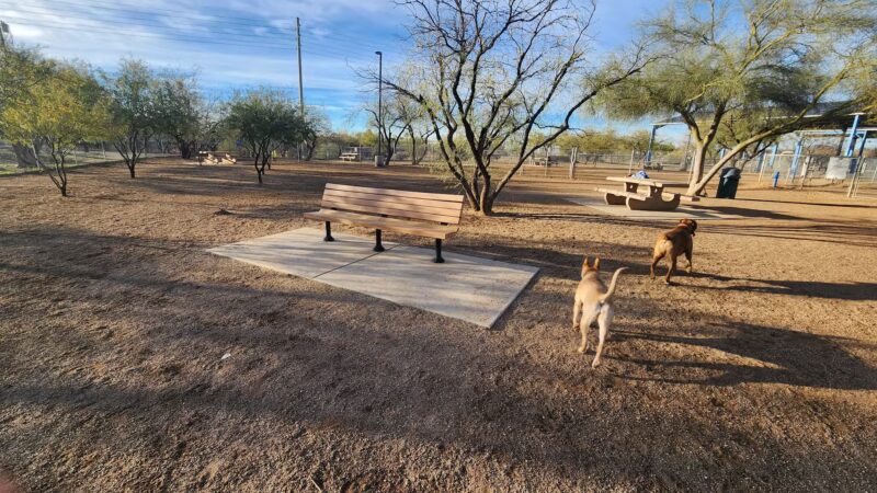 Austin Fitzgerald Memorial Dog Park - Catalina Foothills, AZ