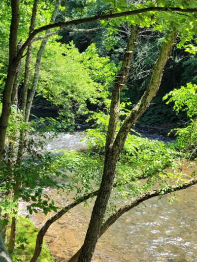 Cara Park - Catawissa, PA