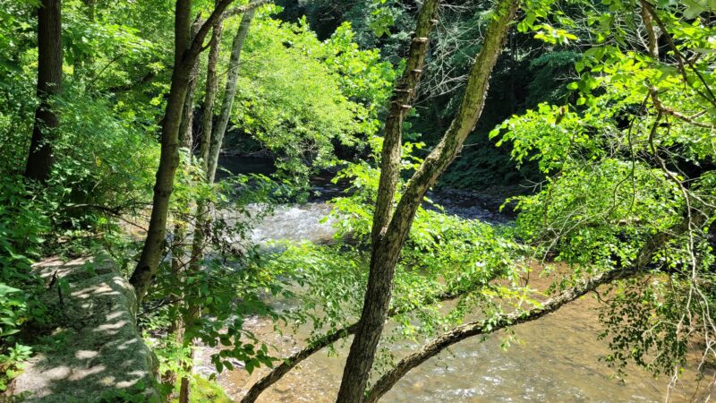 Cara Park - Catawissa, PA
