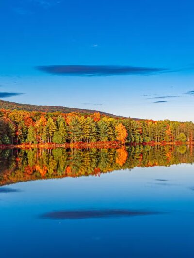 Weiser State Forest Roaring Creek Tract - Klein’s Reservoir - Catawissa, PA