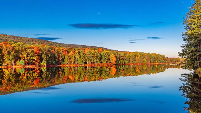 Weiser State Forest Roaring Creek Tract - Klein’s Reservoir - Catawissa, PA