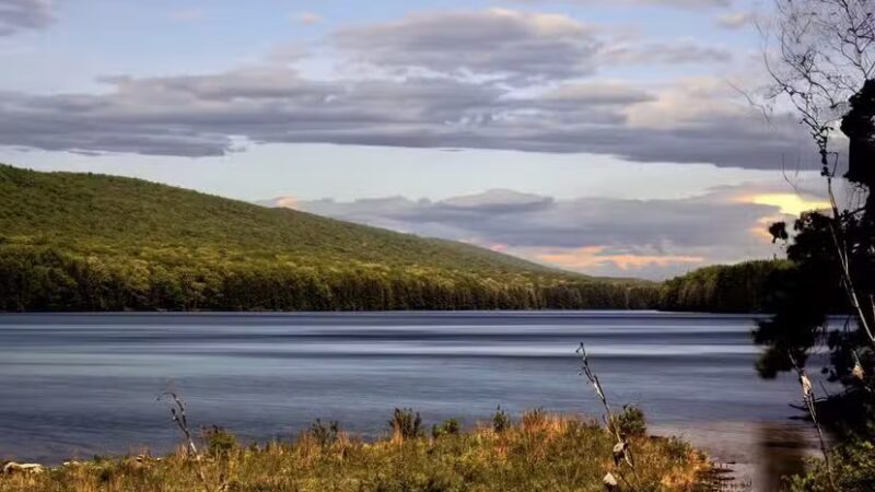 Weiser State Forest Roaring Creek Tract - Klein’s Reservoir - Catawissa, PA
