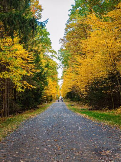 Weiser State Forest Roaring Creek Tract - Klein’s Reservoir - Catawissa, PA