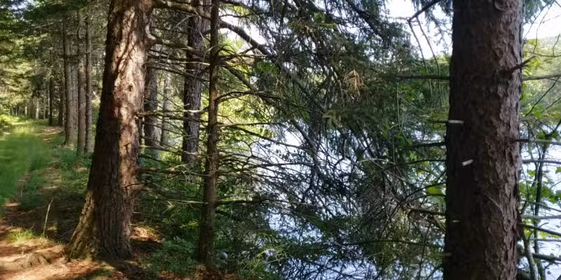 Weiser State Forest Roaring Creek Tract - Klein’s Reservoir - Catawissa, PA