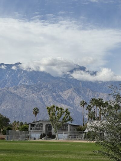 Panorama Park Dog Park - Cathedral City, CA
