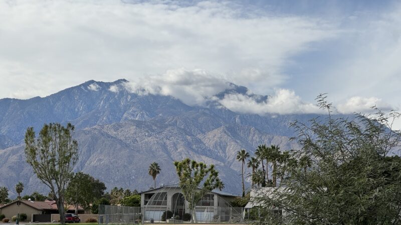 Panorama Park Dog Park - Cathedral City, CA