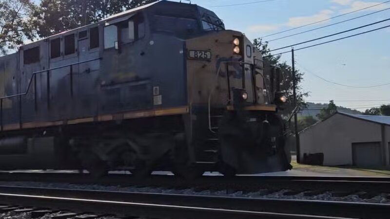 Roy Dickey Reynolds Park - Cave City, KY