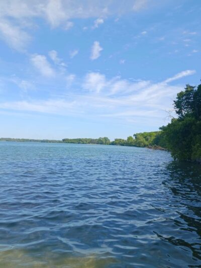 Harris Park - Cayuga, NY