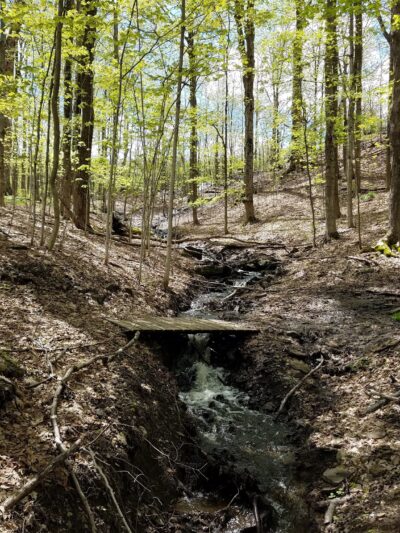 Fairchild Hill - Cazenovia, NY
