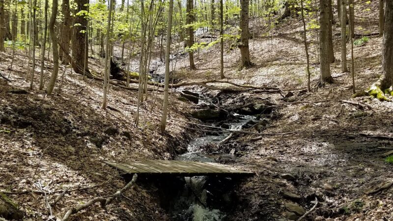 Fairchild Hill - Cazenovia, NY