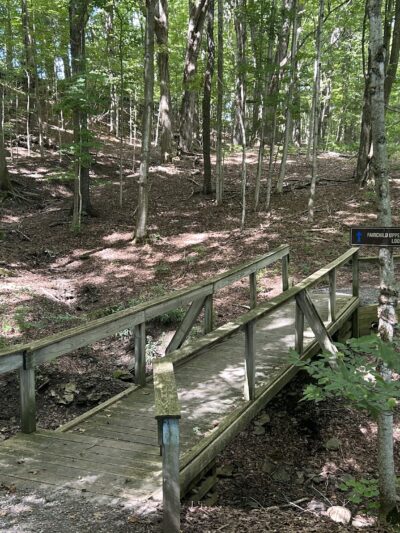 Fairchild Hill - Cazenovia, NY