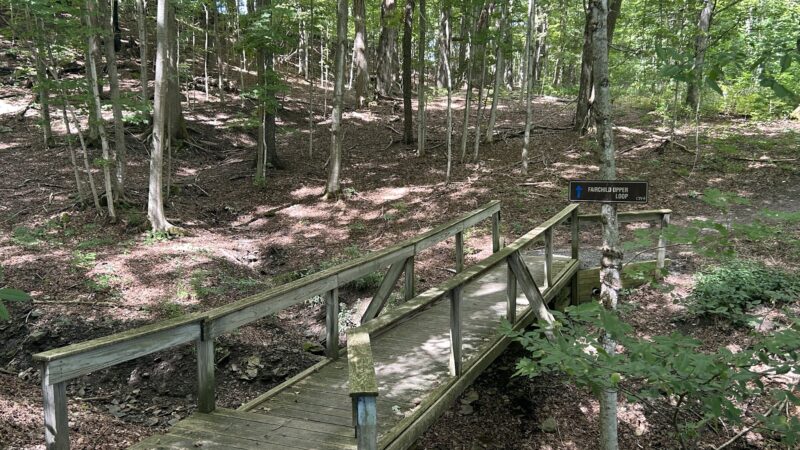 Fairchild Hill - Cazenovia, NY