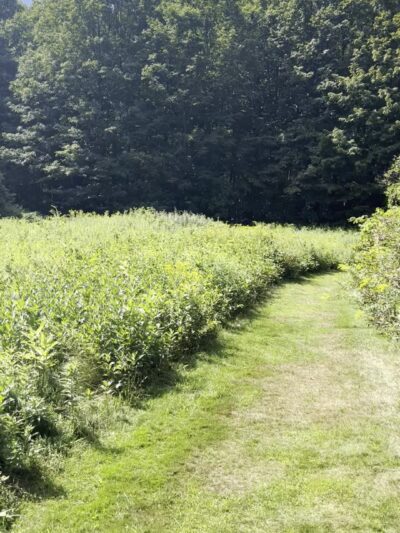 Fairchild Hill - Cazenovia, NY