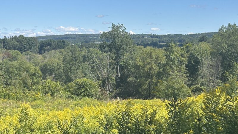 Fairchild Hill - Cazenovia, NY