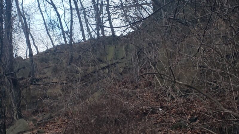 Mills Reservation Lenape trail parking - Cedar Grove, NJ