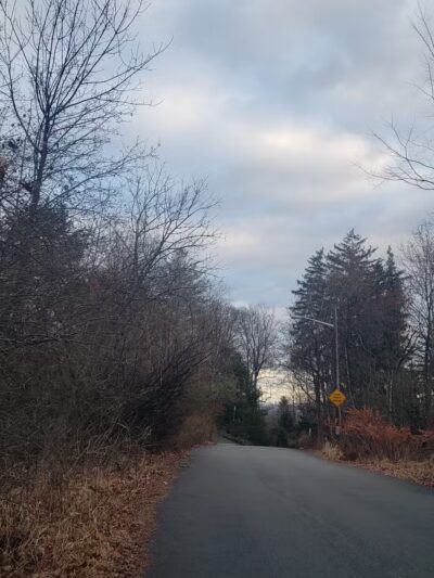 Mills Reservation Lenape trail parking - Cedar Grove, NJ