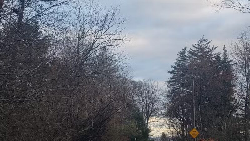 Mills Reservation Lenape trail parking - Cedar Grove, NJ