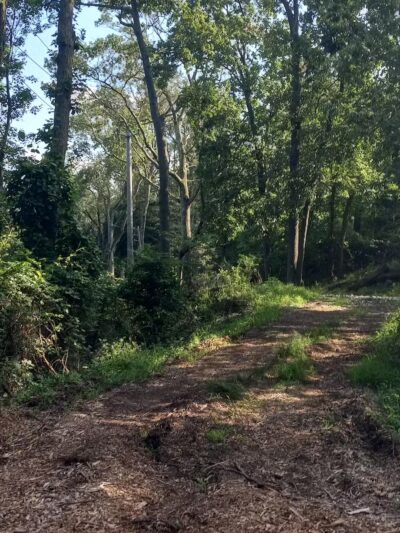 Mills Reservation Lenape trail parking - Cedar Grove, NJ