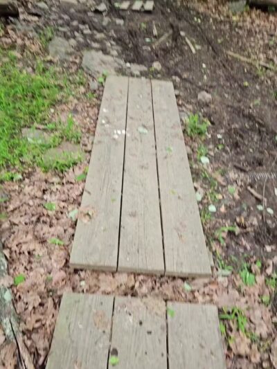 Mills Reservation Lenape trail parking - Cedar Grove, NJ