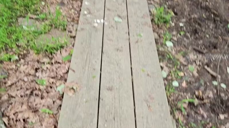 Mills Reservation Lenape trail parking - Cedar Grove, NJ