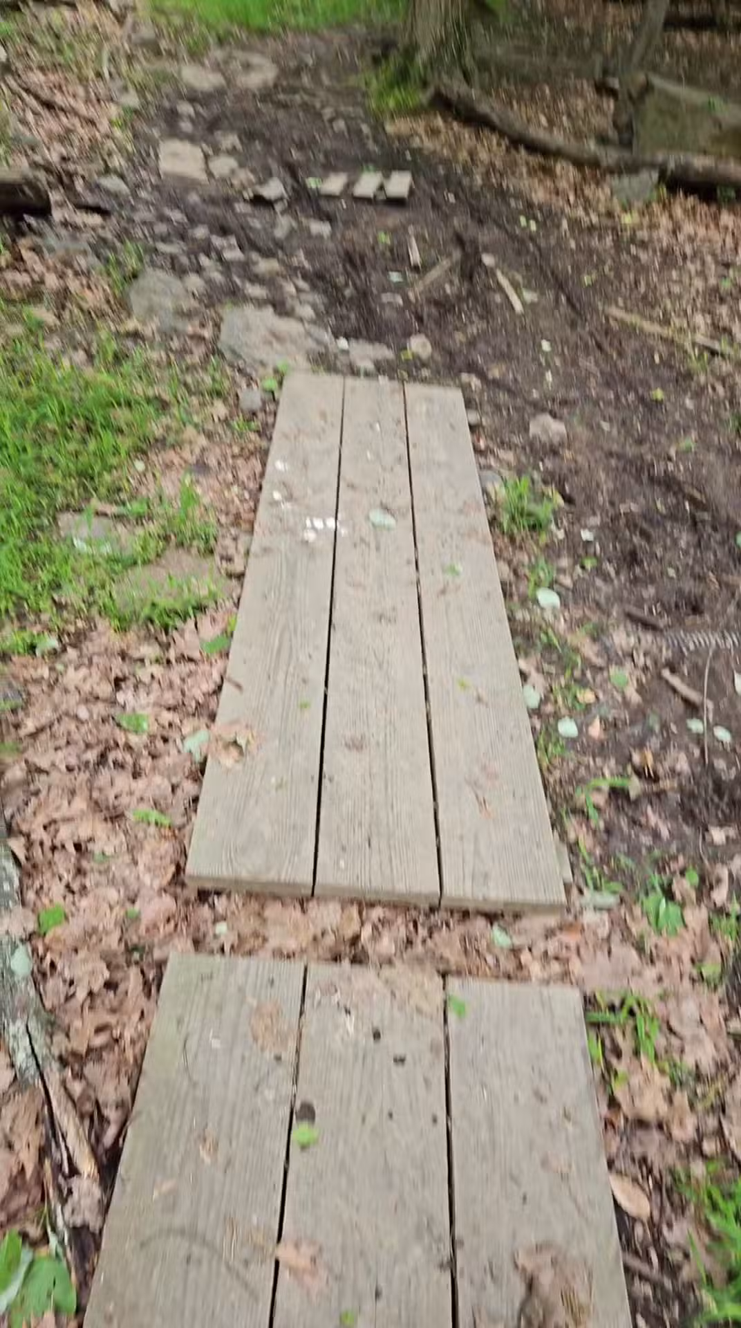 Mills Reservation Lenape trail parking - Cedar Grove, NJ