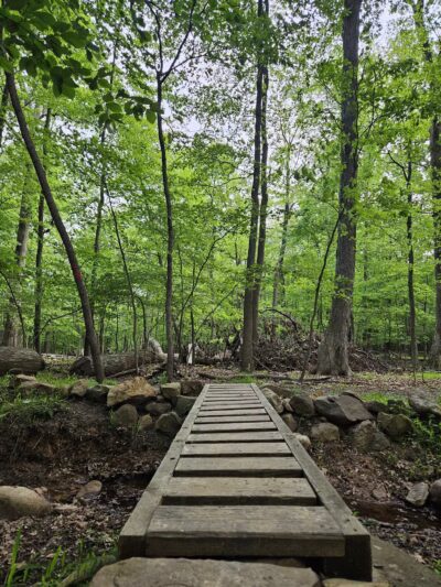 Mills Reservation Lenape trail parking - Cedar Grove, NJ