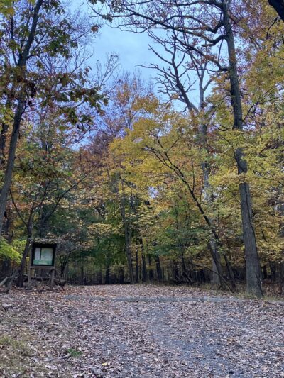 Mills Reservation Parking Lot - Cedar Grove, NJ