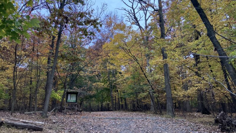 Mills Reservation Parking Lot - Cedar Grove, NJ