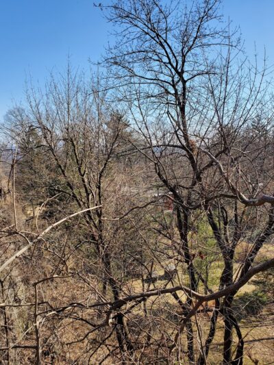 Mills Reservation Parking Lot - Cedar Grove, NJ