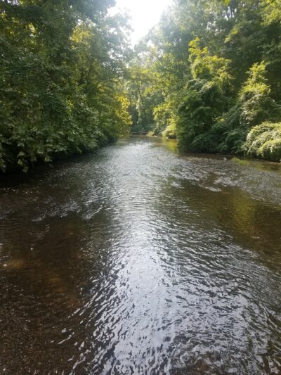 Patriots Trail/ Connect Hanover - Cedar Knolls, NJ