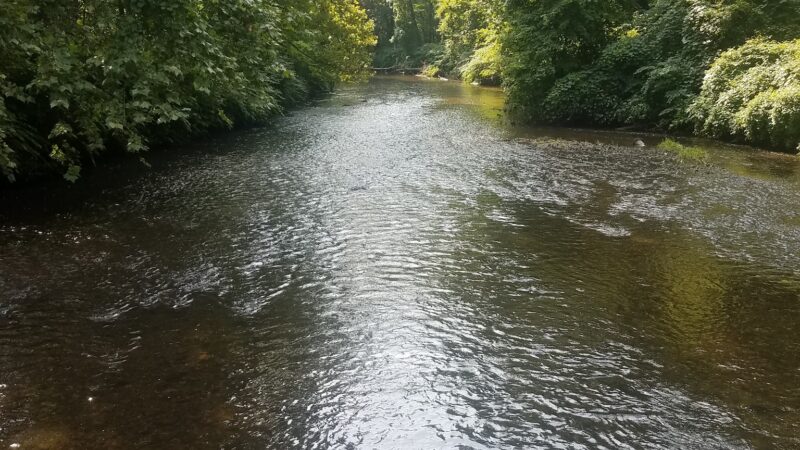 Patriots Trail/ Connect Hanover - Cedar Knolls, NJ