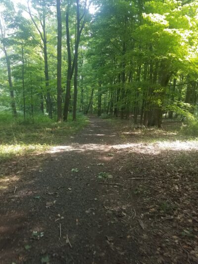 Patriots Trail/ Connect Hanover - Cedar Knolls, NJ