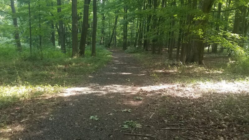 Patriots Trail/ Connect Hanover - Cedar Knolls, NJ