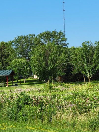 Huntington Ridge Park - Cedar Rapids, IA