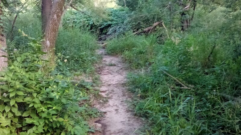 McLoud Run Park - Cedar Rapids, IA